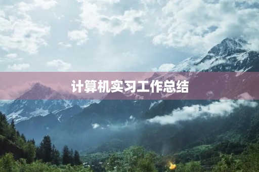 计算机实习工作总结