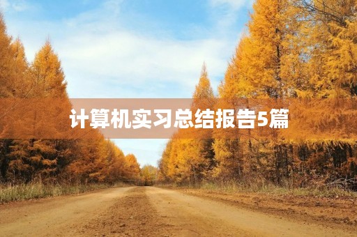 计算机实习总结报告5篇 计算机实习总结报告5篇