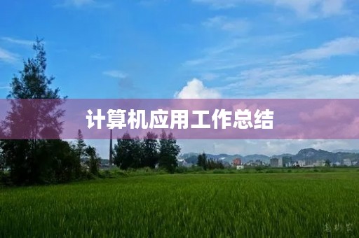 计算机应用工作总结
