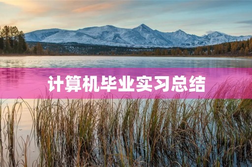 计算机毕业实习总结