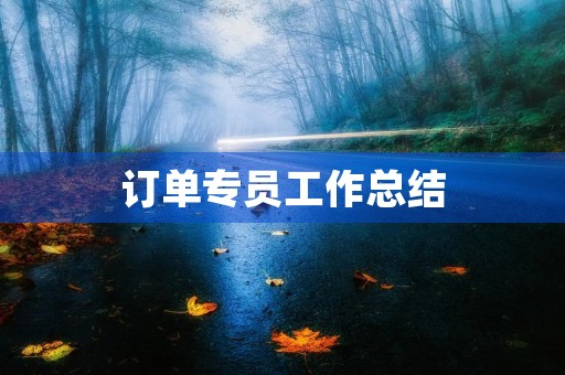 订单专员工作总结