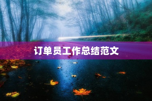 订单员工作总结范文