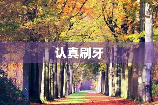 认真刷牙 认真刷牙