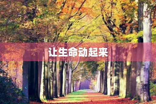 让生命动起来
