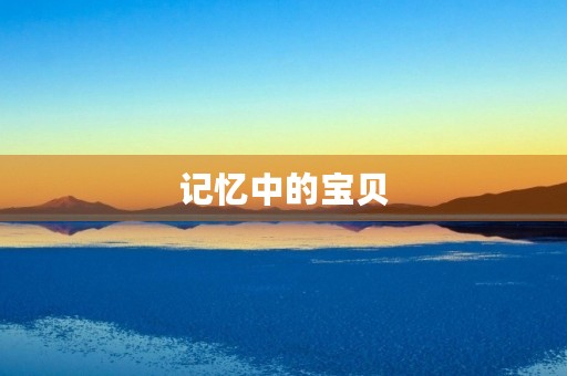 记忆中的宝贝 记忆中的宝贝
