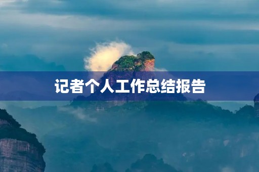 记者个人工作总结报告