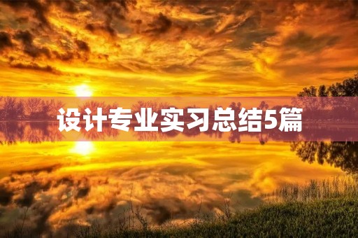 设计专业实习总结5篇