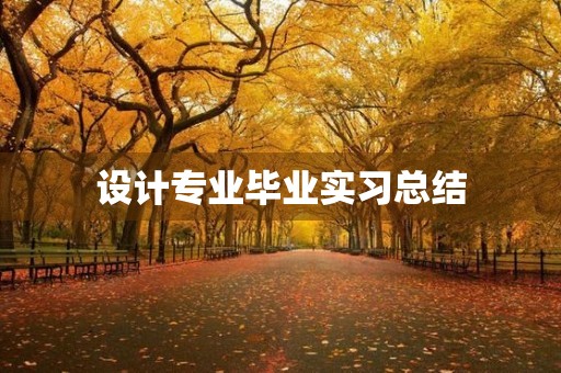 设计专业毕业实习总结