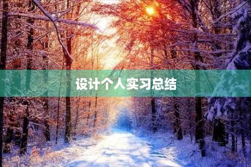 设计个人实习总结