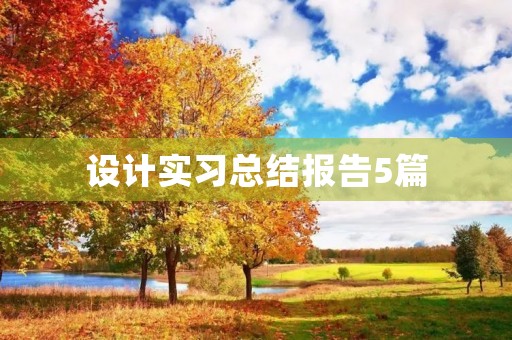 设计实习总结报告5篇