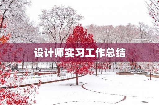 设计师实习工作总结【5篇】 设计师实习工作总结【5篇】