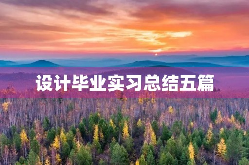 设计毕业实习总结五篇