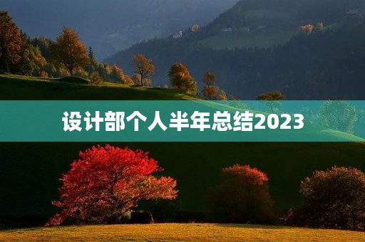 设计部个人半年总结2023