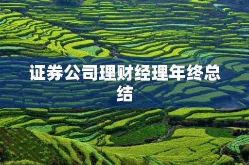 证券公司理财经理年终总结