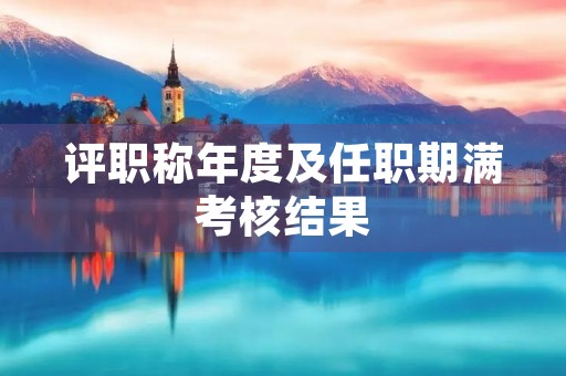 评职称年度及任职期满考核结果