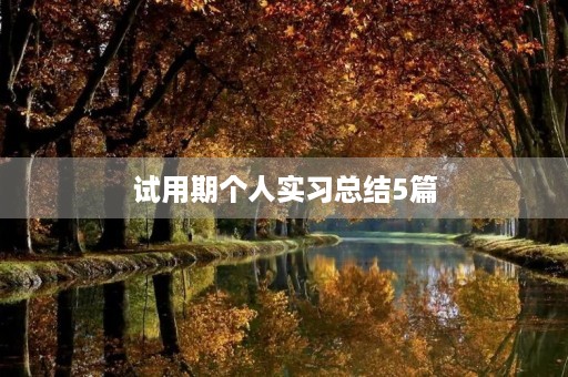 试用期个人实习总结5篇