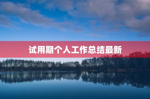 试用期个人工作总结最新 试用期个人工作总结最新