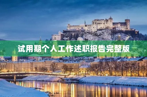 试用期个人工作述职报告完整版