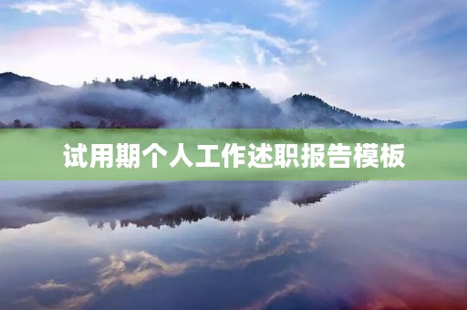 试用期个人工作述职报告模板(7篇)