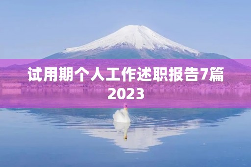 试用期个人工作述职报告7篇2023