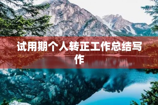 试用期个人转正工作总结写作