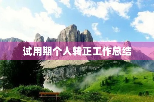 试用期个人转正工作总结(10篇)