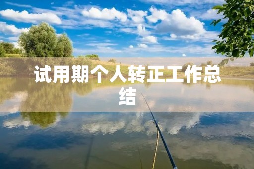 试用期个人转正工作总结（13篇）