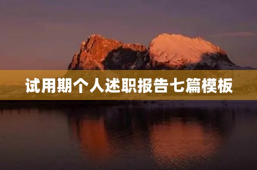 试用期个人述职报告七篇模板