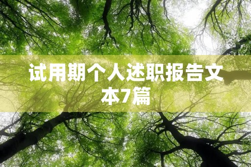 试用期个人述职报告文本7篇