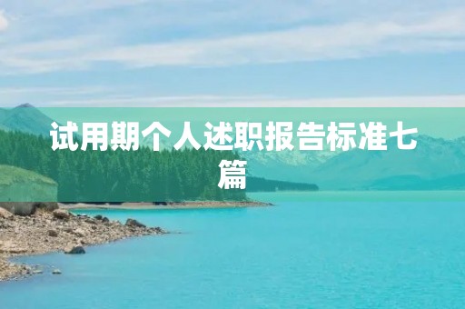 试用期个人述职报告标准七篇