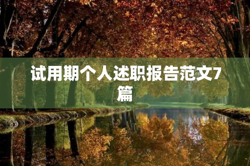 试用期个人述职报告范文7篇