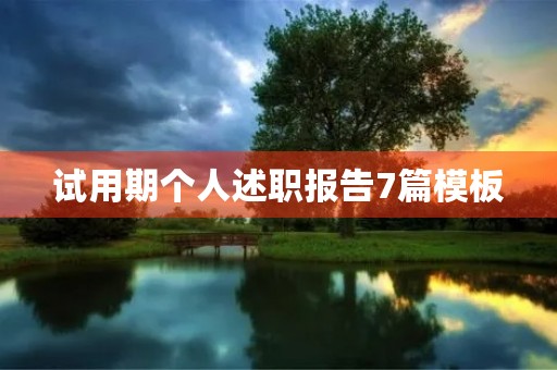 试用期个人述职报告7篇模板