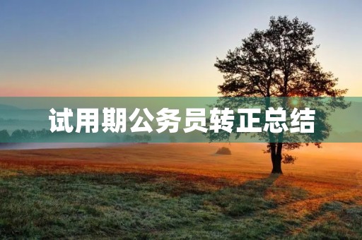 试用期公务员转正总结