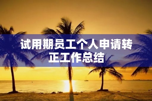 试用期员工个人申请转正工作总结