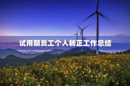 试用期员工个人转正工作总结