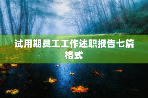 试用期员工工作述职报告七篇格式