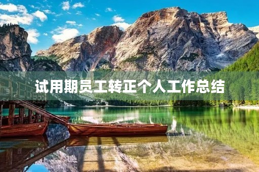 试用期员工转正个人工作总结
