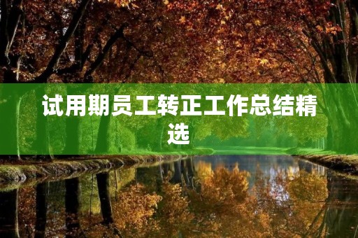 试用期员工转正工作总结精选(10篇)