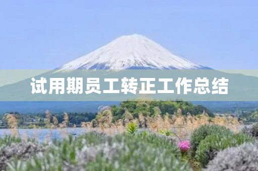 试用期员工转正工作总结(7篇)