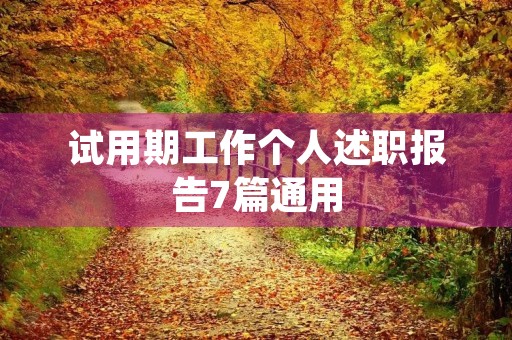 试用期工作个人述职报告7篇通用