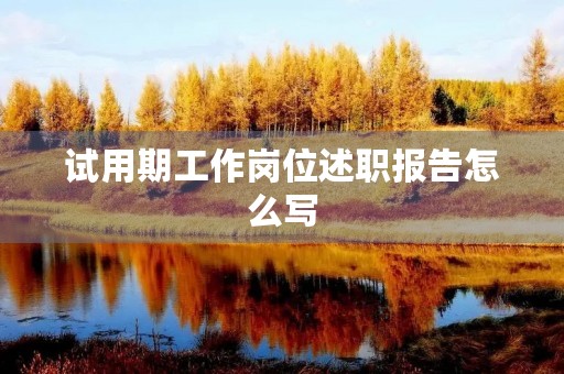 试用期工作岗位述职报告怎么写