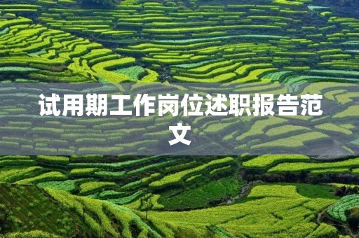 试用期工作岗位述职报告范文【七篇】