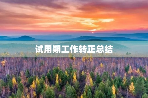 试用期工作转正总结