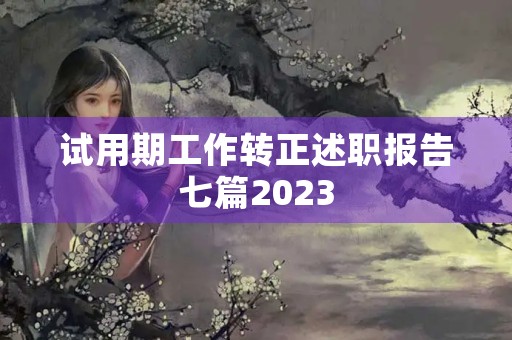 试用期工作转正述职报告七篇2023