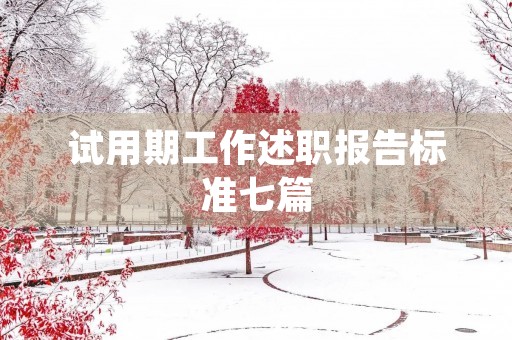 试用期工作述职报告标准七篇