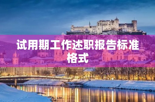 试用期工作述职报告标准格式