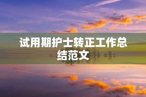 试用期护士转正工作总结范文 试用期护士转正工作总结范文