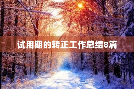 试用期的转正工作总结8篇