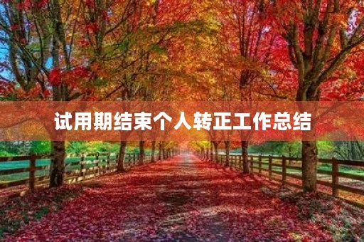 试用期结束个人转正工作总结