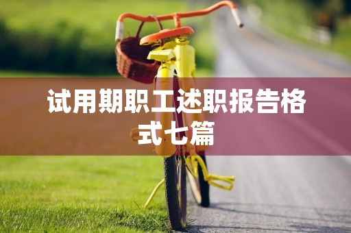 试用期职工述职报告格式七篇